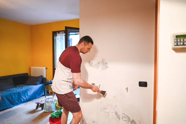 Best Certified Mold Removal  in Lovejoy, GA
