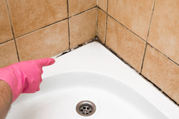 Crawl Space Mold Removal in Lovejoy, GA